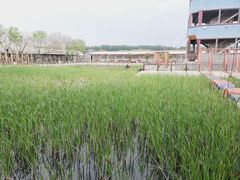 -河北村民俗体验园