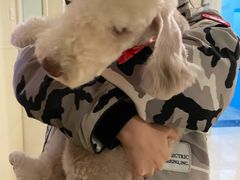 -欧奕国际动物医院