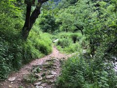 -抱龙峪