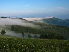-驼梁风景区