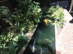 景观位-Fern Forest Cafe