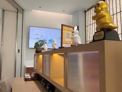 -长风拨筋养身(金虹桥店)