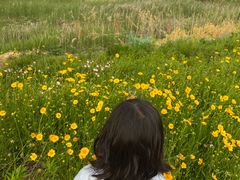 -游子山休闲旅游区