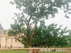 -北京张裕爱斐堡酒庄