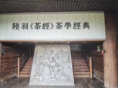 -大唐贡茶院
