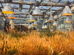 -国家植物园南园