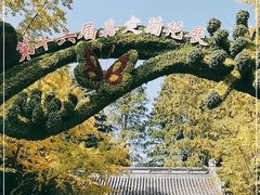 -汇龙潭
