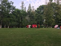 -习家池