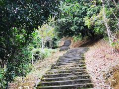 -风云岭森林公园