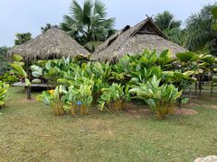 -中国科学院西双版纳热带植物园
