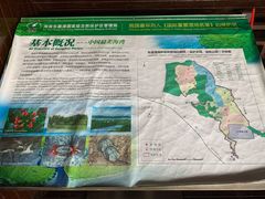 -东寨港红树林旅游区