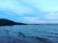 -宝安西湾红树林湿地公园