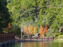 -广州白江湖森林公园