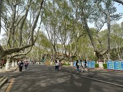 -东南大学(四牌楼校区)