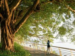 -小梅沙海滨乐园