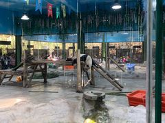 -栾川竹海野生动物园