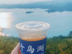 -千岛湖天屿景区