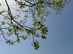 -昆山城市生态森林公园