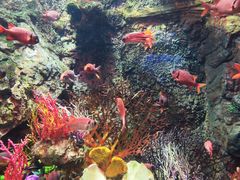 -太平洋海底世界