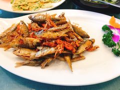 -茶油香闽南菜·花园餐厅(前埔店)