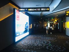 -万达影城(汉街万达广场IMAX店)
