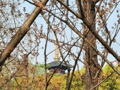-枫桥景区