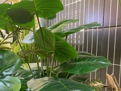 -Pennehut畔尼意面(合肥万象城店)