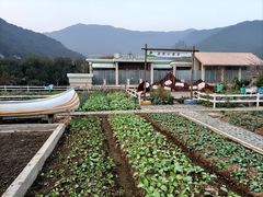 -宁波九龙湖开元度假村