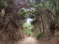 -函谷关历史文化旅游区