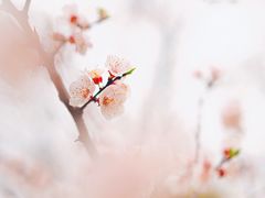 -苏州河梦清园环保主题公园