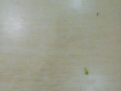 android_upload_pic-东平传统鸡饭(德信华城店)