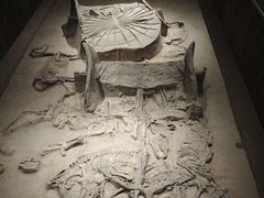 -北京大葆台遗址博物馆