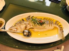 -莆鑫海鲜城(浏河店)