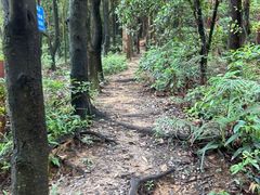 -火炉山森林公园