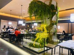 -阿露佳·舌尖上的安吉菜