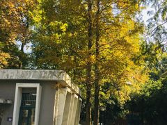 -浙江大学(玉泉校区)