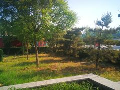 -藁城北服务区-停车场