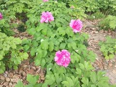 -狼山风景名胜区