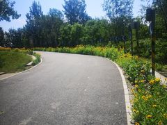 -东郊湿地公园