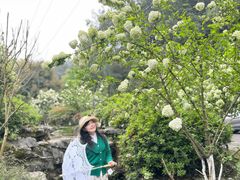 -铁山坪森林公园