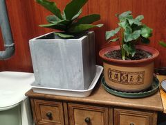 -19号私房菜(云南路店)