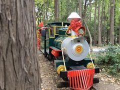 -上海共青森林公园