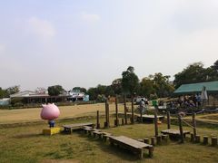 -田园东方蜜桃村的田野营地