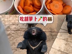 -五龙山野生动物王国
