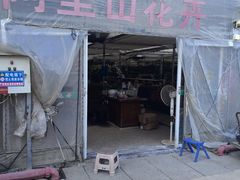 -龙大花卉苗木市场