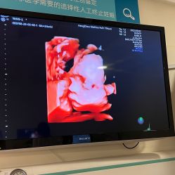 -杭州贝瑞斯美华妇儿医院·早孕·产检·儿科