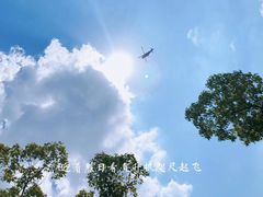 -上海月湖雕塑公园