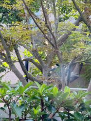 -馨月汇·一悦馨香月子中心(前滩店)