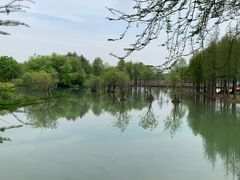 -贡湖湾湿地公园