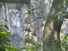 -桂林独秀峰王城景区
